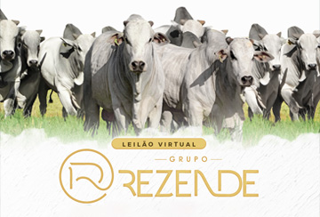 LEILÃO VIRTUAL TOUROS GRUPO REZENDE